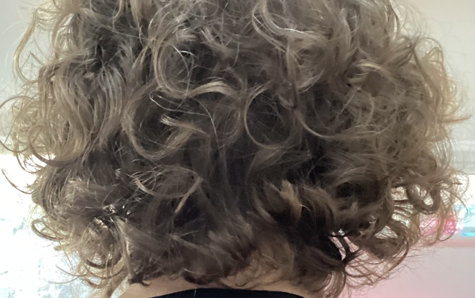 My frizz in all it's glory