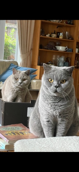 January Starters - Thread 11!