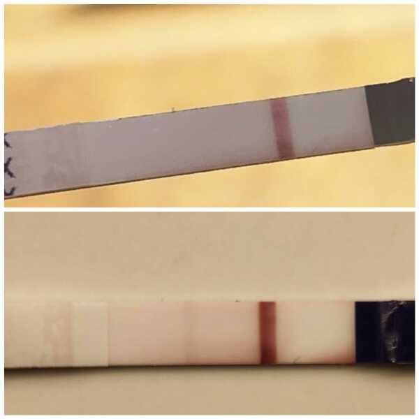 Line eyes please: pregnancy test (IVF)