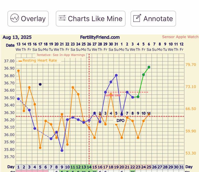 TTC TWW August/September 2025
