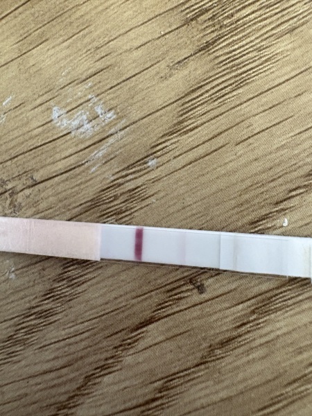 Why do I not believe the tests?