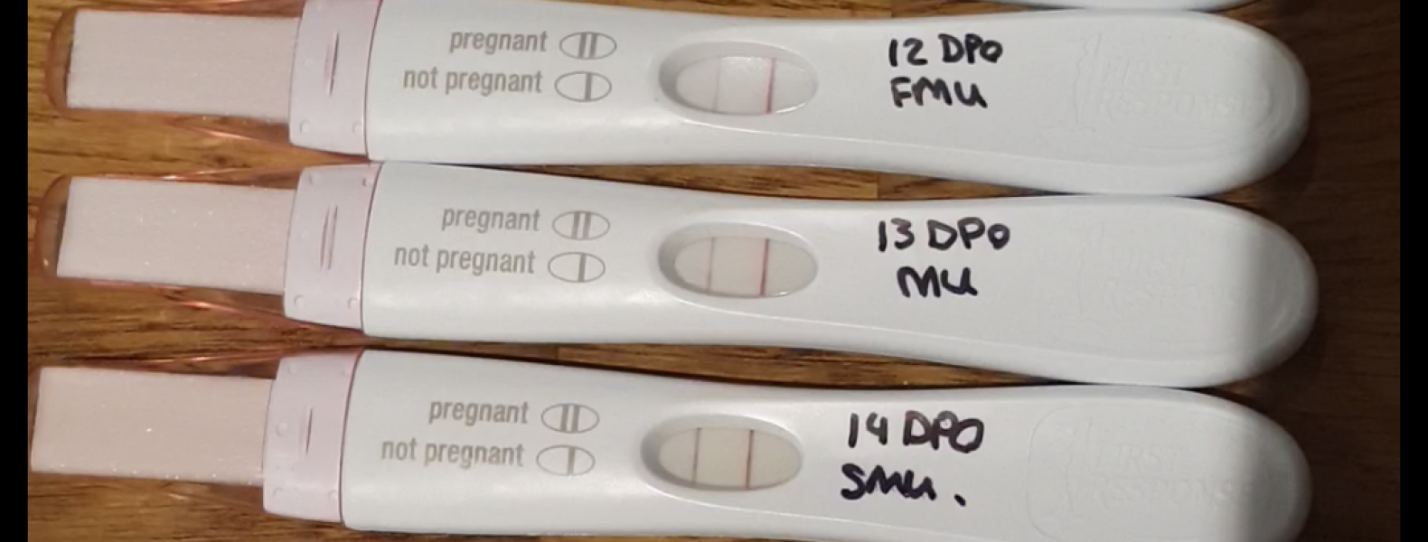 September TTC thread 💛