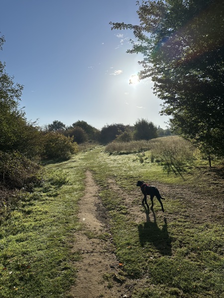 Puppy survival thread! All welcome!