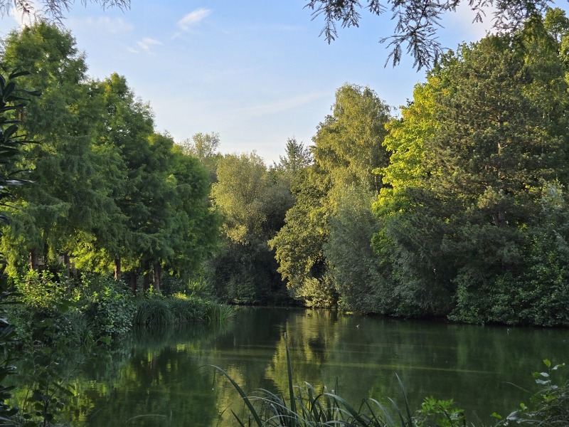 Netherlands ferry holiday - duinrell? Eftling?