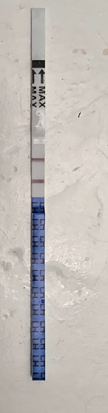 TTC TWW August/September 2025