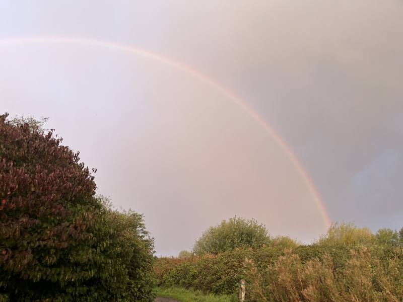 Melting from the heat, yet still Counting down to Christmas 2025 (thread 2)