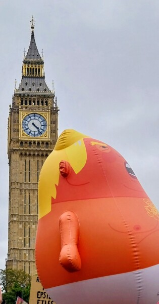 Thread 33 Starmer - Gerst Monath