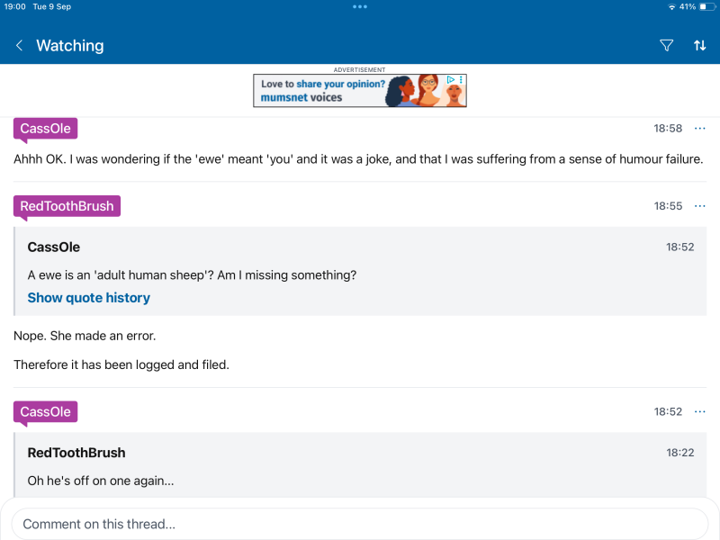 The Autumn Bluestocking - mist, mellow fruitfulness and hot chocolate!