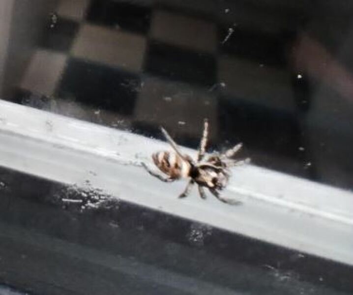 Thread 18 - TalkLair: "That's no moon. It's a space station!"