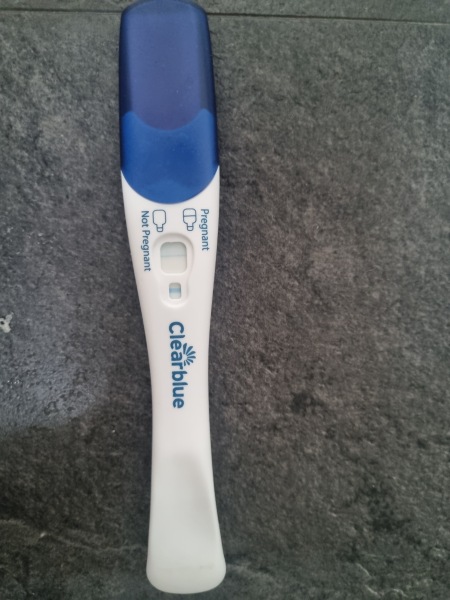 Pregnant or evap line
