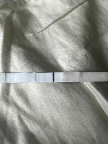 TTC TWW August/September 2025