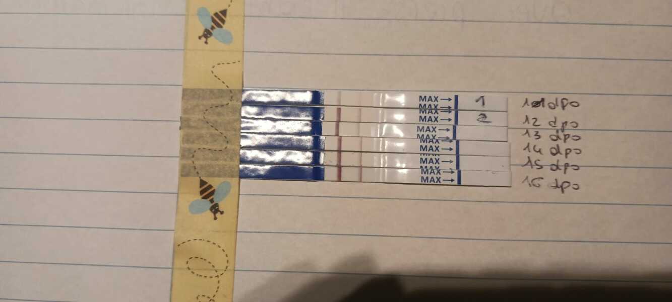 Slow line progression. Any hope? Similar success stories?