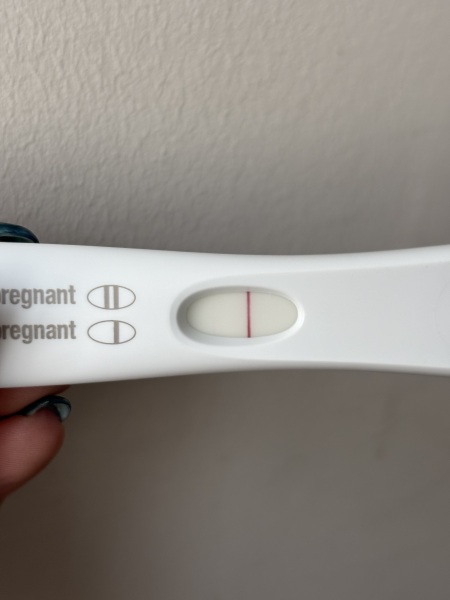 TTC TWW August/September 2025