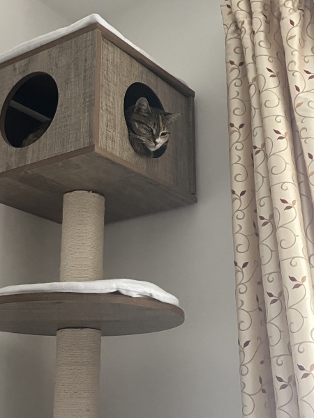 Everyone should move away from the cities