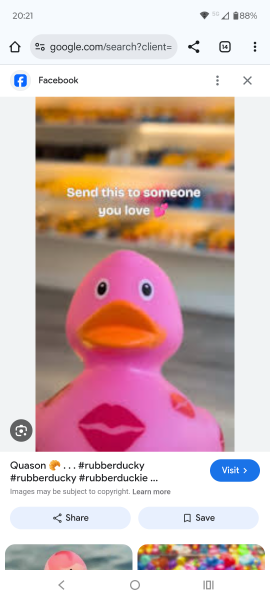 The Autumn Bluestocking - mist, mellow fruitfulness and hot chocolate!