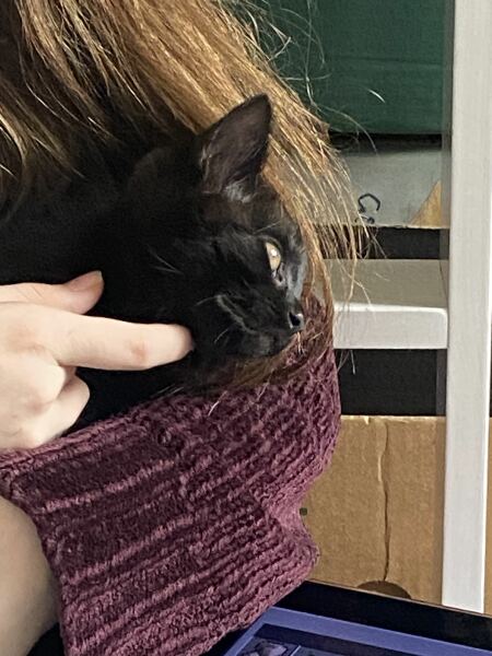 Do I need to change vets?