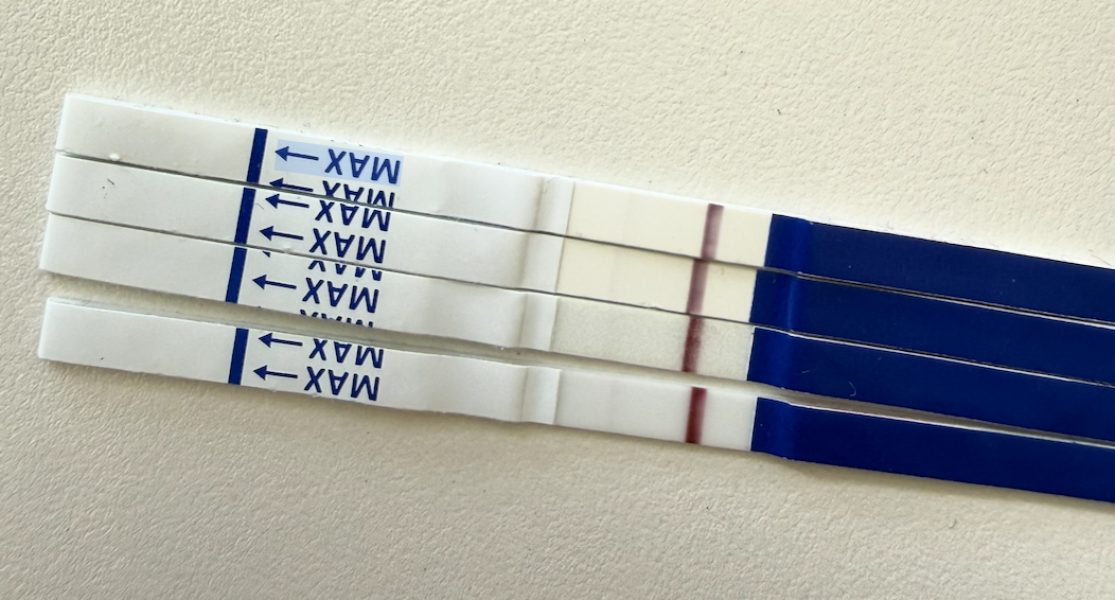 Positive lines 12dpo?