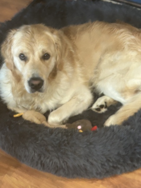 Our Cosmic Autumn Rebellion (Adolescent Support Group)