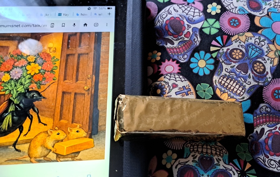 The Autumn Bluestocking - mist, mellow fruitfulness and hot chocolate!