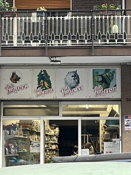 Chicken, Dreamies and Lickelix - the Excellent Cats form a disorderly queue