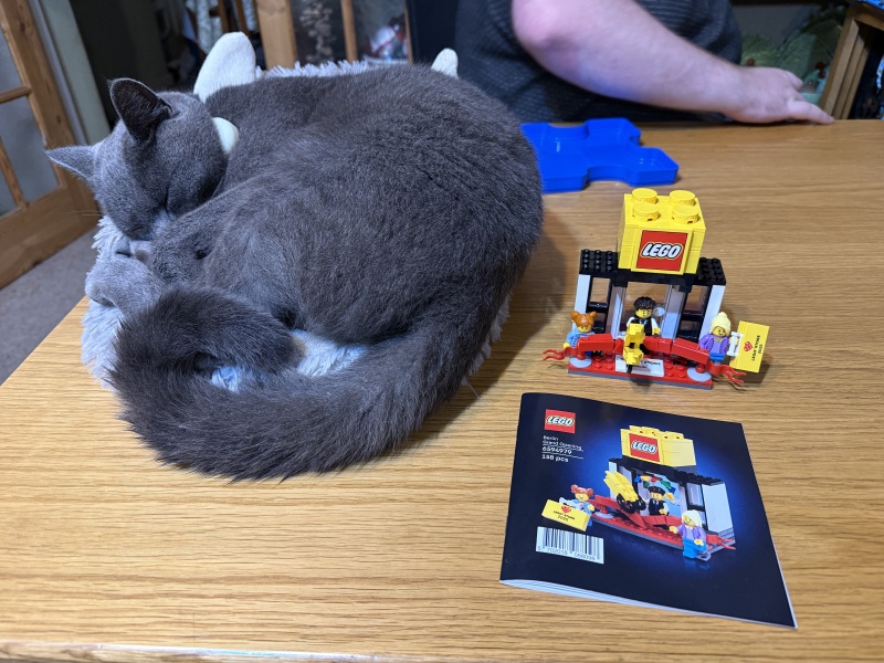 Chicken, Dreamies and Lickelix - the Excellent Cats form a disorderly queue