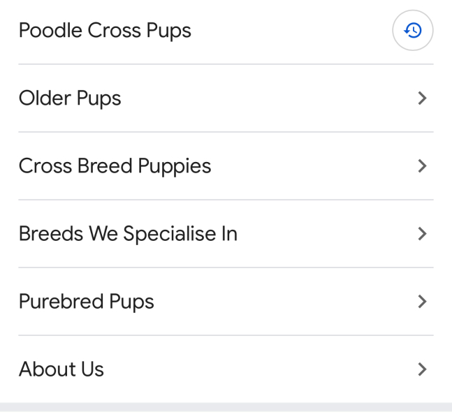 Is it awful to be considering a doodle..? First time dog owner