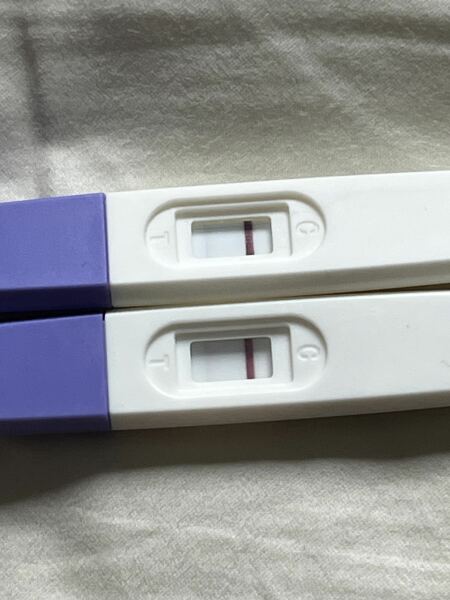 TTC TWW August/September 2025