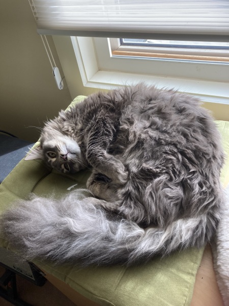 I think I’ve just figured out how the world ends…