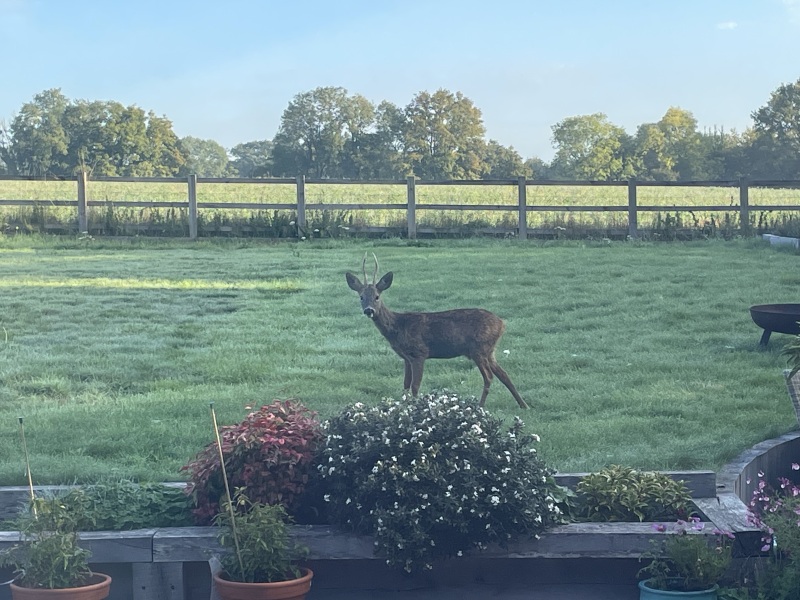 Daily Project round 8