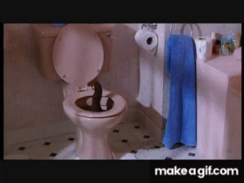 Workman did a giant poo in my downstairs toilet and it won't go.