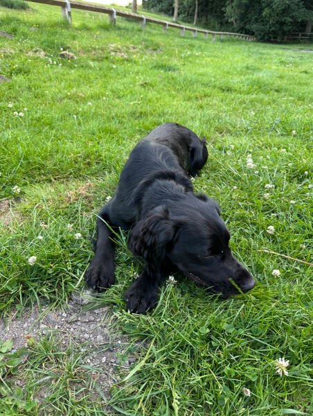 Our Cosmic Autumn Rebellion (Adolescent Support Group)