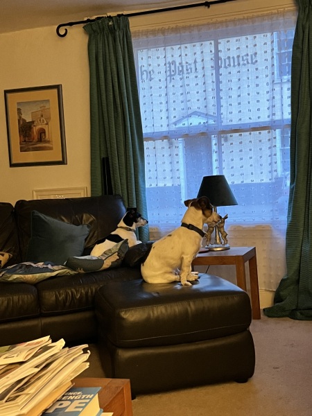 Thread 32 Starmer - Corn Moon