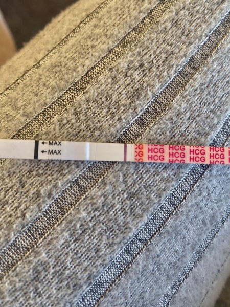 TTC TWW August/September 2025