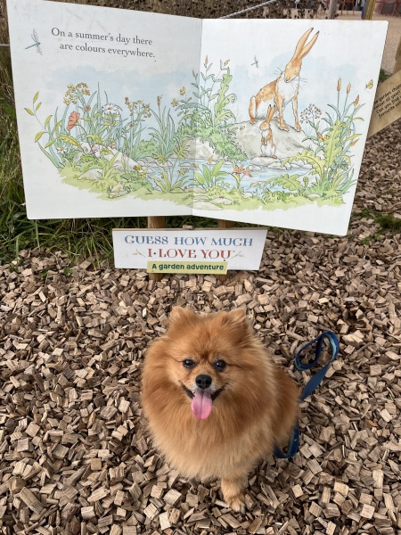 Thread 31 Starmer - September Rain