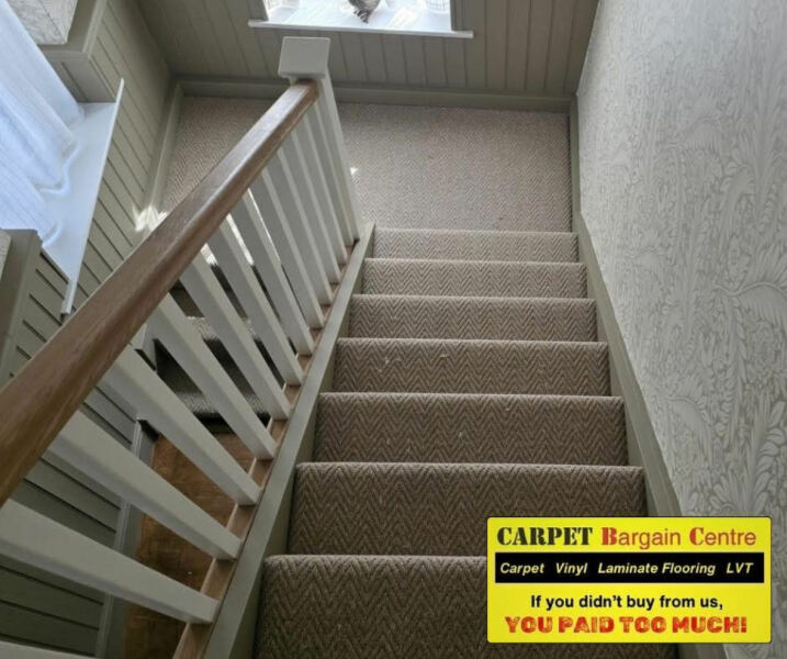 Are we mad to get this carpet with cats?
