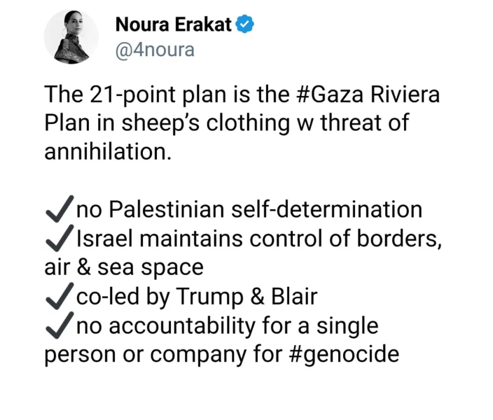End to the genocide in Palestine?