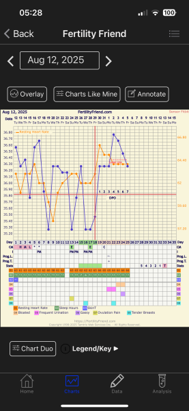 TTC TWW August/September 2025