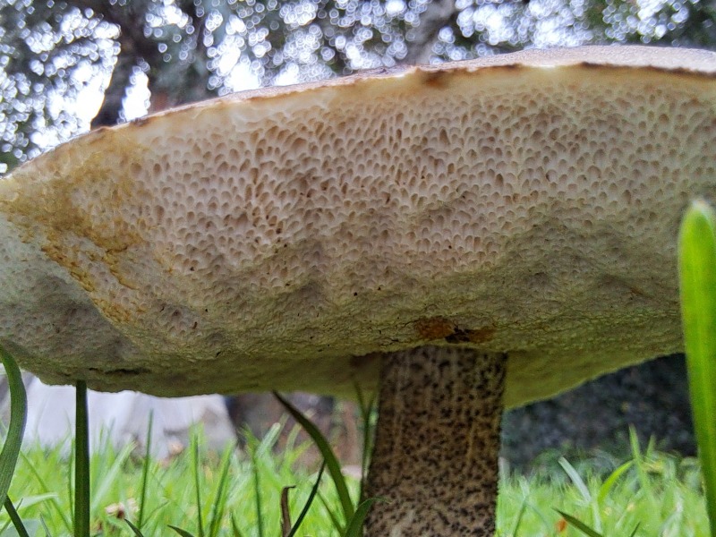 Thread 18 - TalkLair: "That's no moon. It's a space station!"