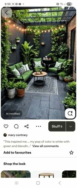 Evergreen tub plants