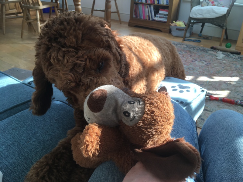 Our Cosmic Autumn Rebellion (Adolescent Support Group)