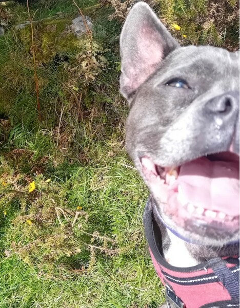 Continuing support thread for those trying to live an alcohol free life - summer 2025