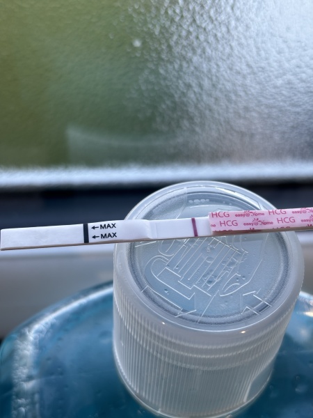 Does anyone see this?