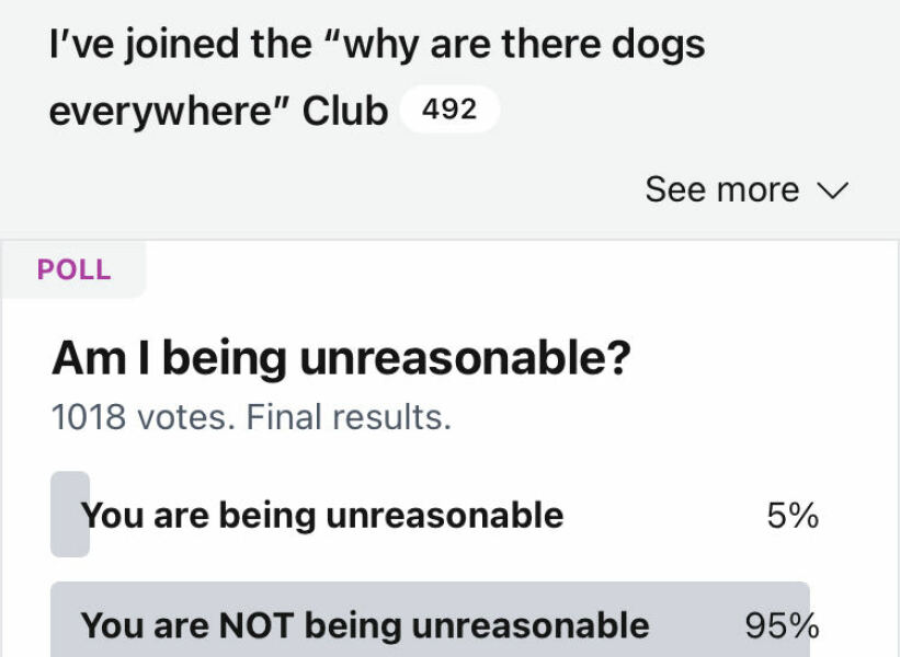 I’ve joined the “why are there dogs everywhere” Club