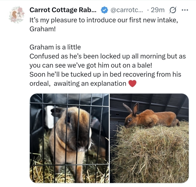 Graham Linehan arrested on arrival at Heathrow Part 2