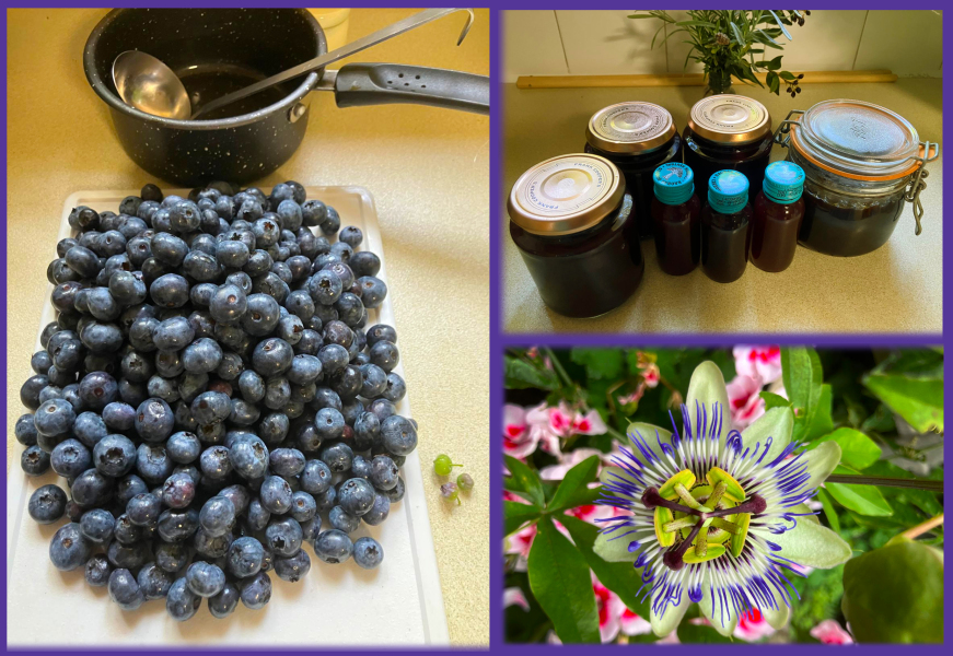 Year round Nigel Slater discussion thread Part 2