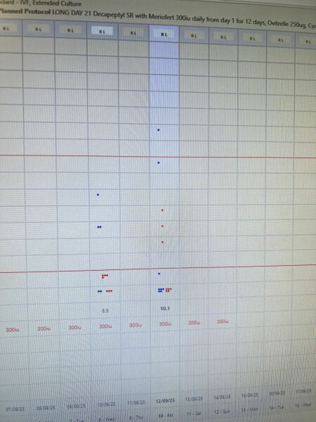 First monitoring scan - disappointed
