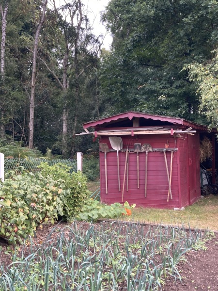 Year round Nigel Slater discussion thread Part 2