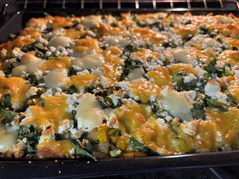 Daily Project round 8