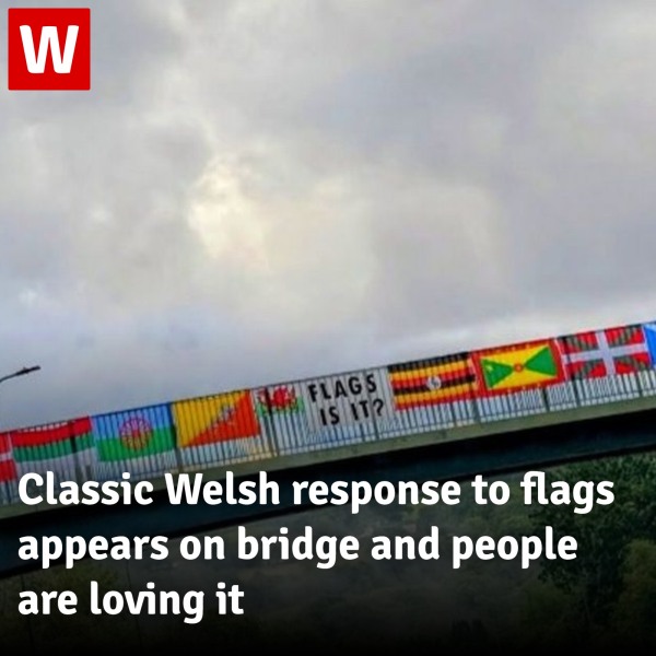 Thread 32 Starmer - Corn Moon