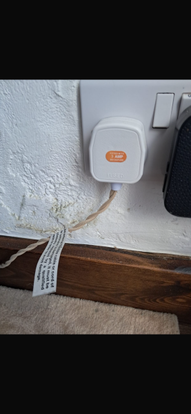 Serious Mould problem - advice needed